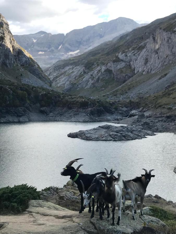 Appartement GAVARNIE Résidence Les 3 Cirques Gèdre Exterior foto